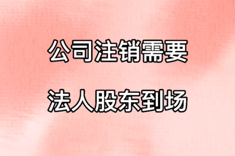 拉薩公司注銷，需要法人、股東到場嗎？